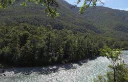 Image: K.A. Ford © Landcare Research 2015 